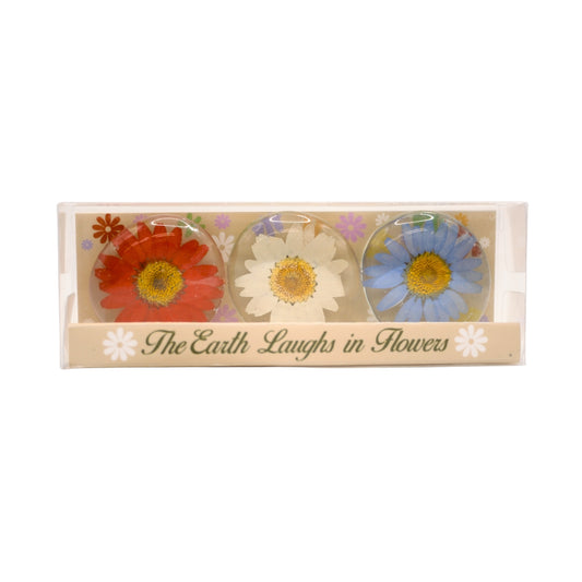 Real Flower Magnet Gift Box