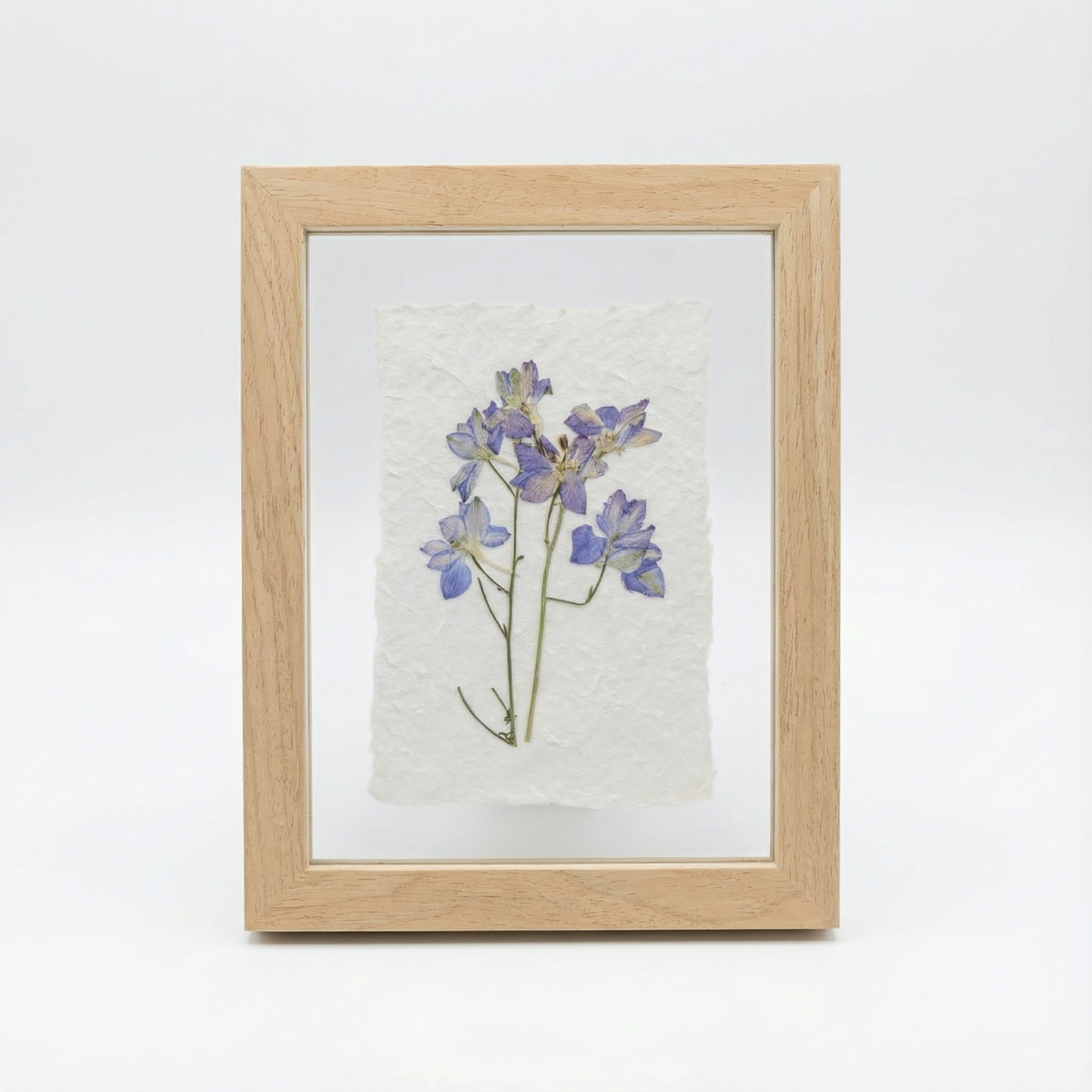 Real Pressed Floral Art - Purple Lark w/Paper