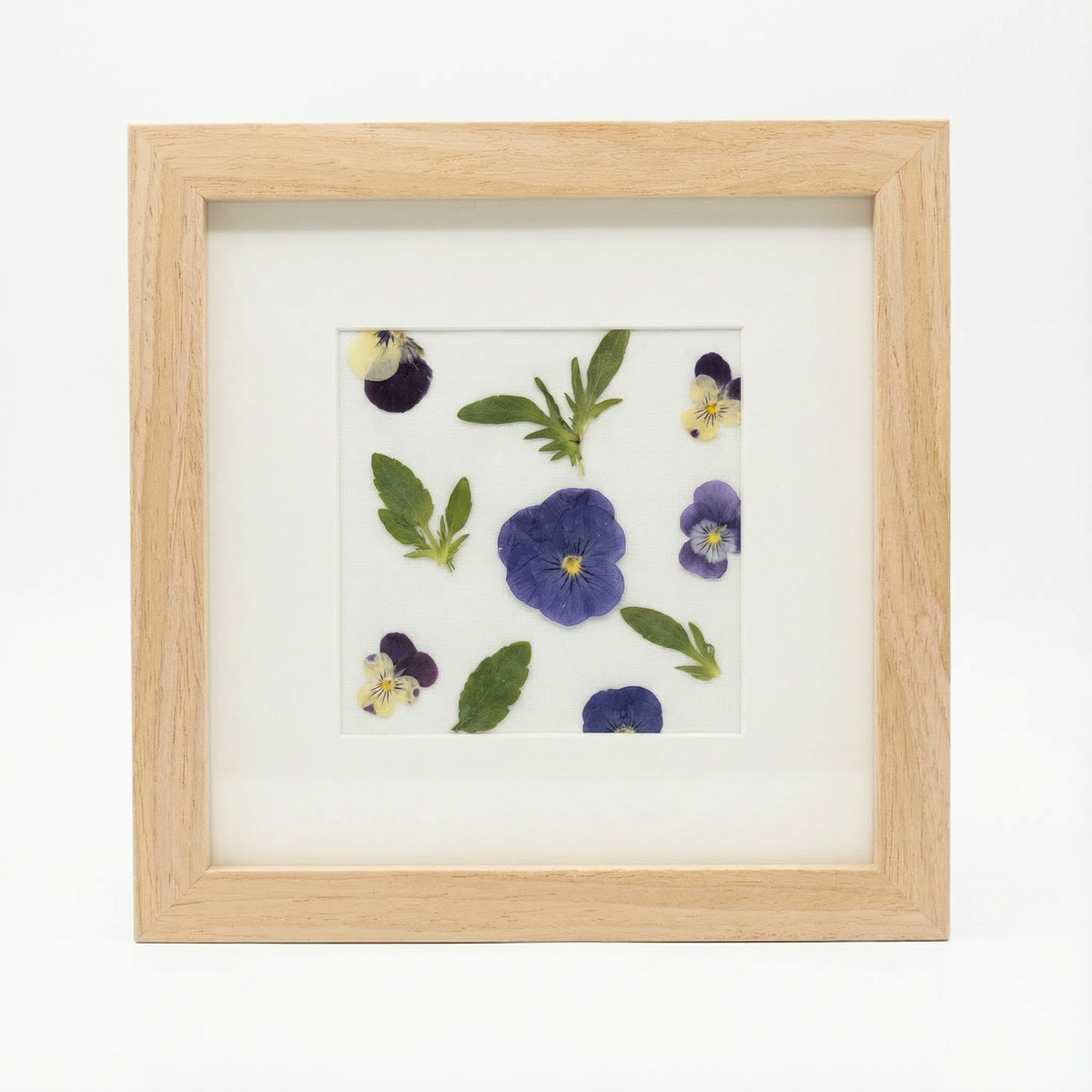 Real Pressed Floral Art - Matboard Pansies