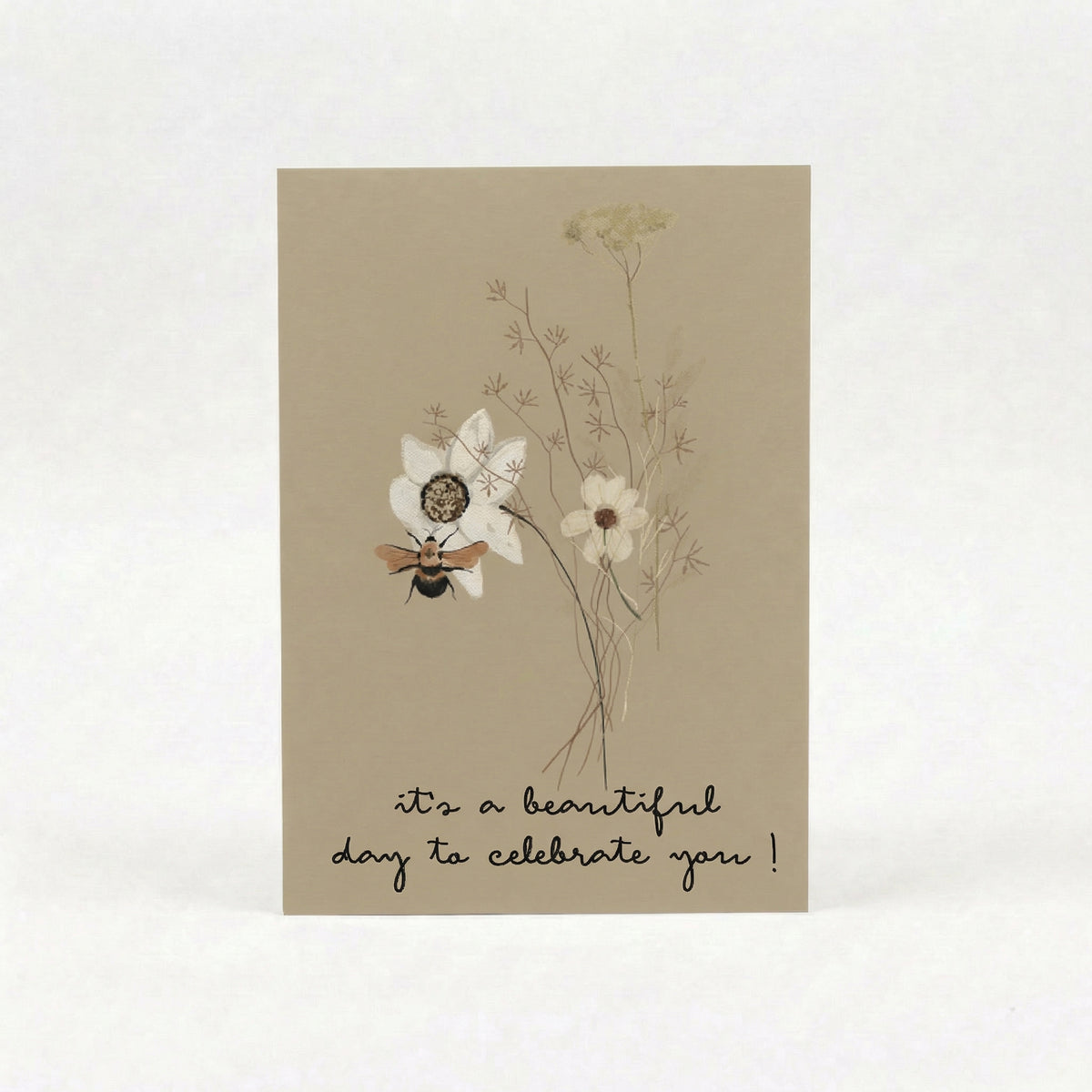 Everyday Greeting Cards