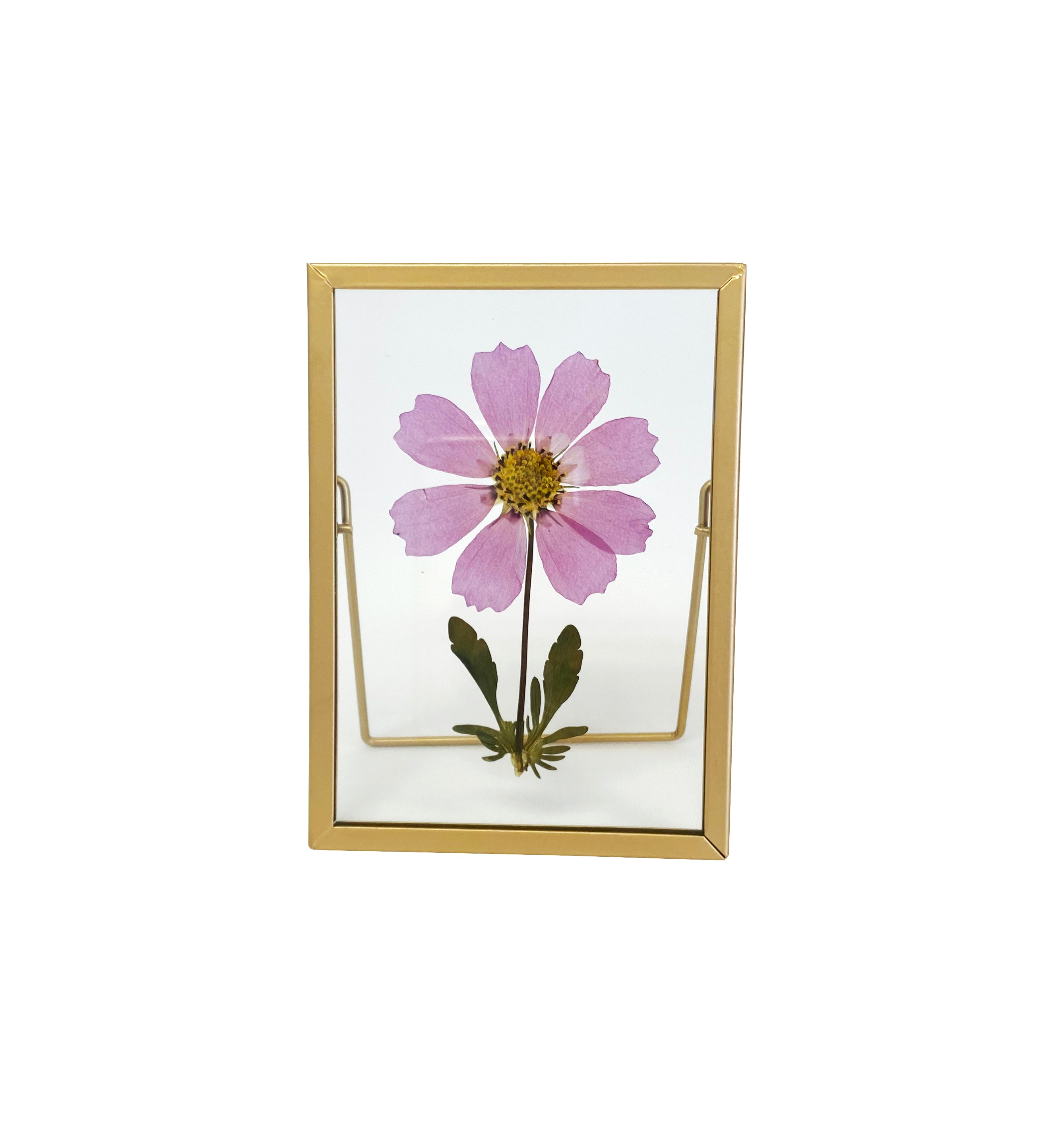 Pressed Flower Frame