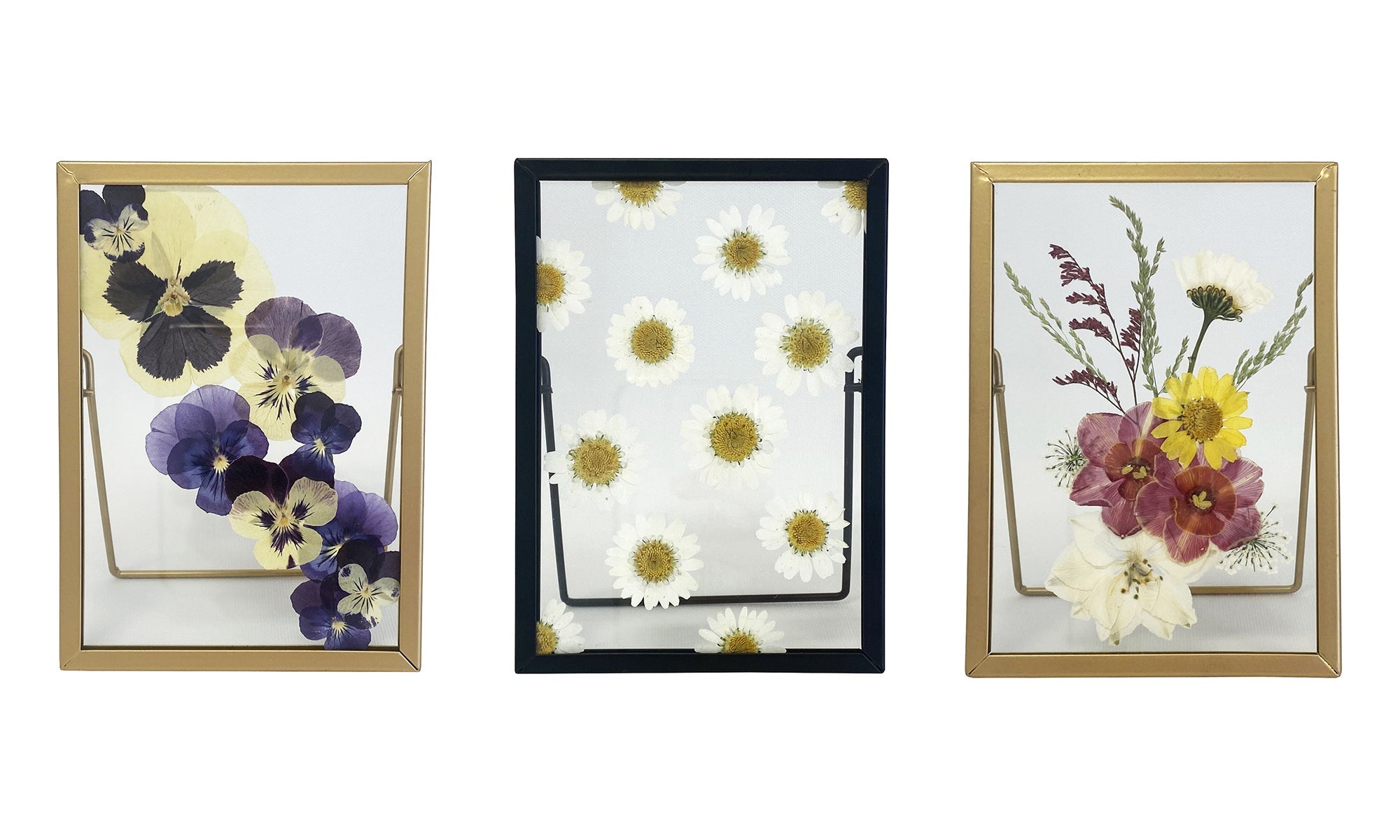 Pressed Flower Frames