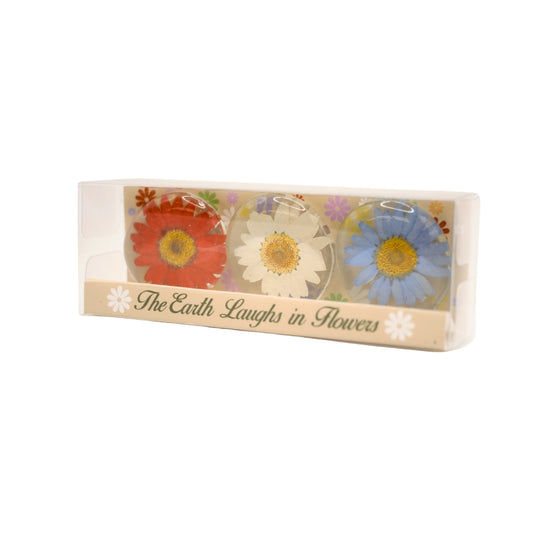 Real Flower Magnet Gift Box