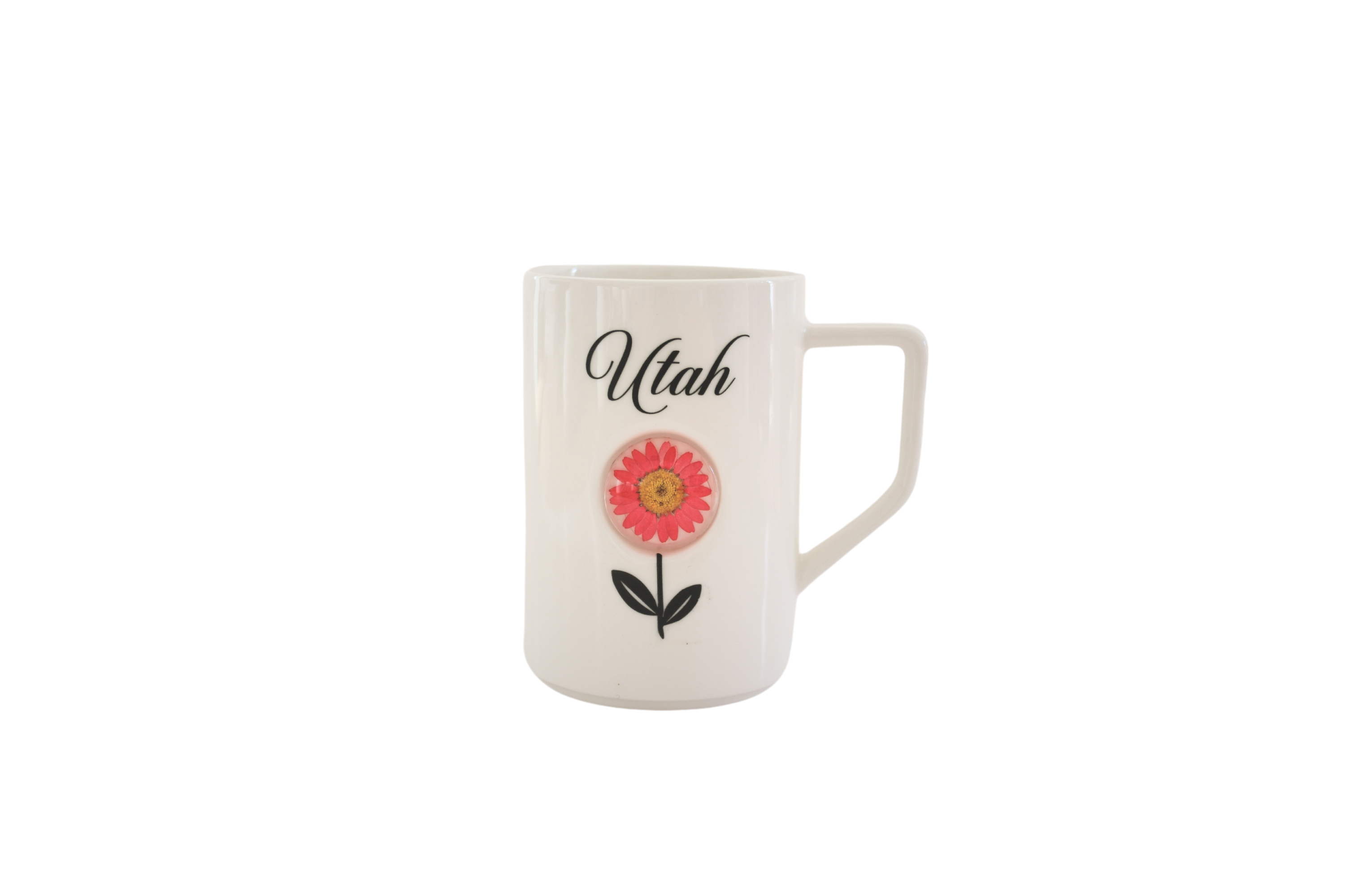 Pressed Flower Mugs