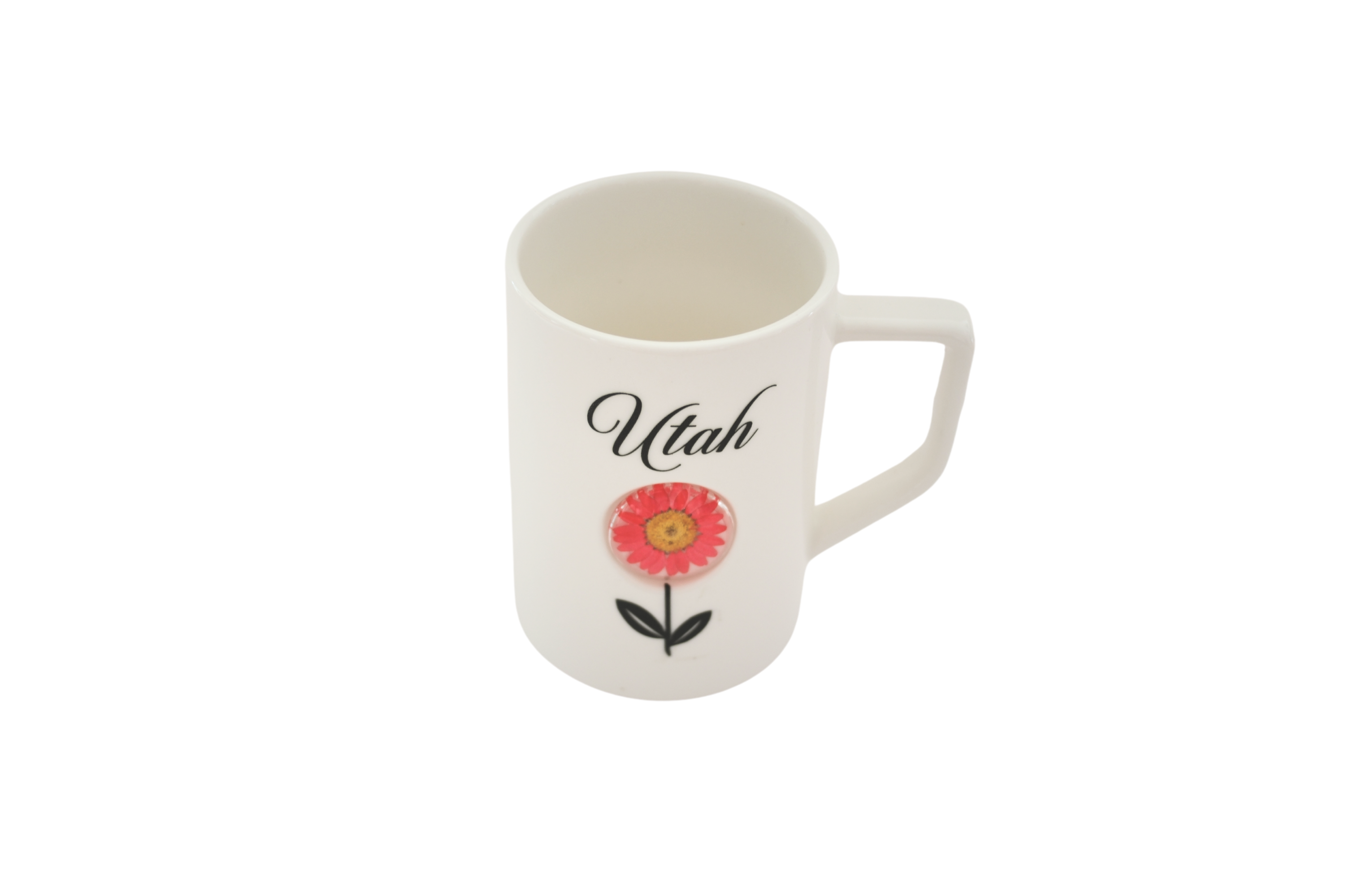 Pressed Flower Mugs