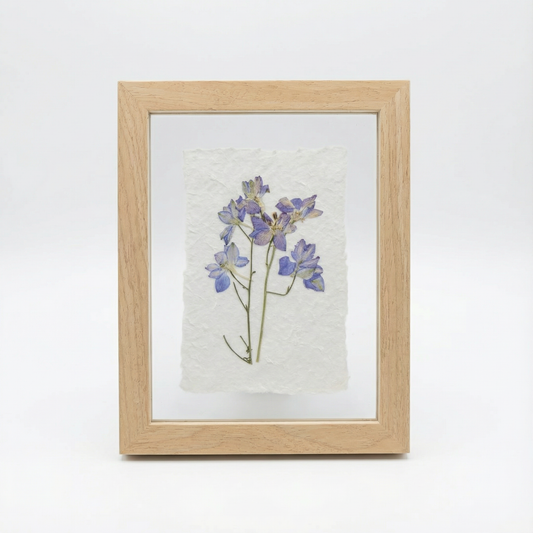 Real Pressed Floral Art - Purple Lark w/Paper