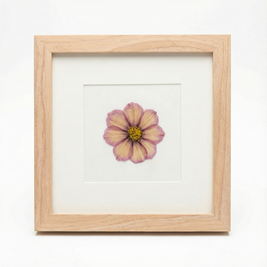 Real Pressed Floral Art - Matboard Cosmo