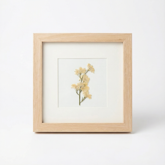 Real Pressed Floral Art - Matboard White Larkspur