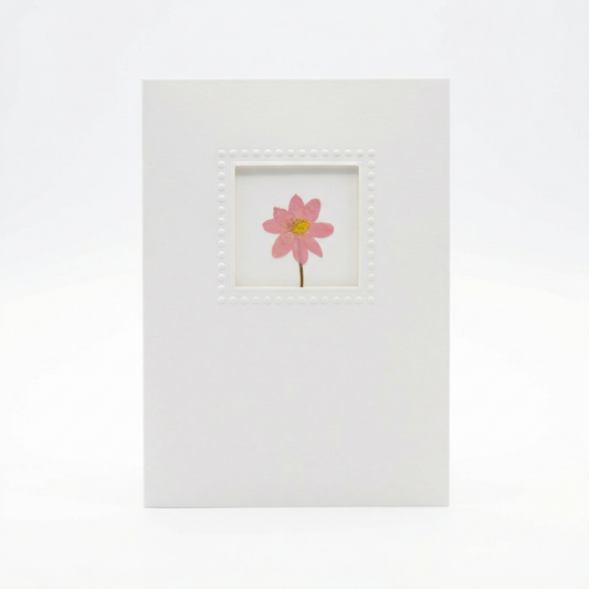 Real Flower Greeting Cards