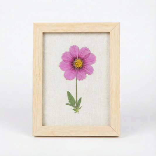 Real Pressed Floral Art - Cosmo