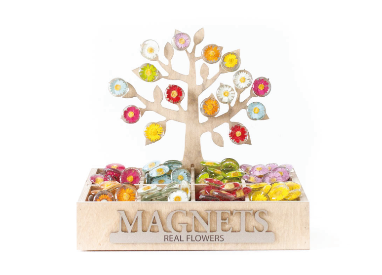 Floral Glass Magnets – Sunnie Lane