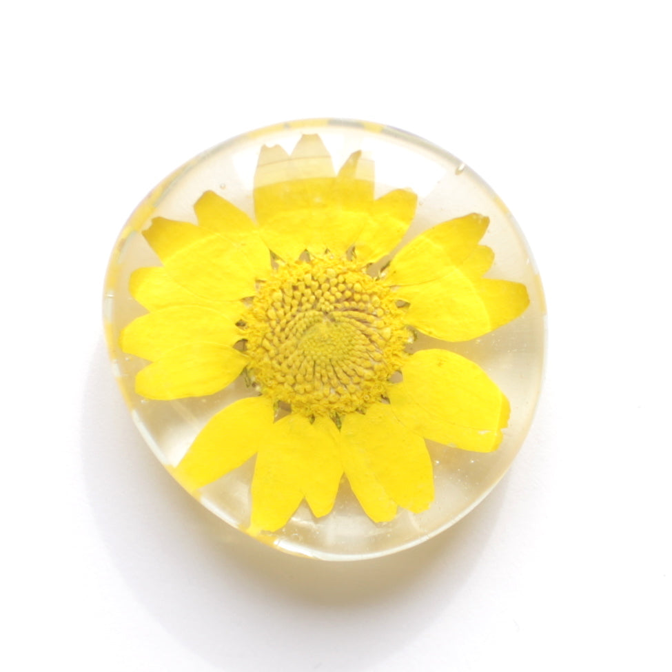 Floral Glass Magnets – Sunnie Lane