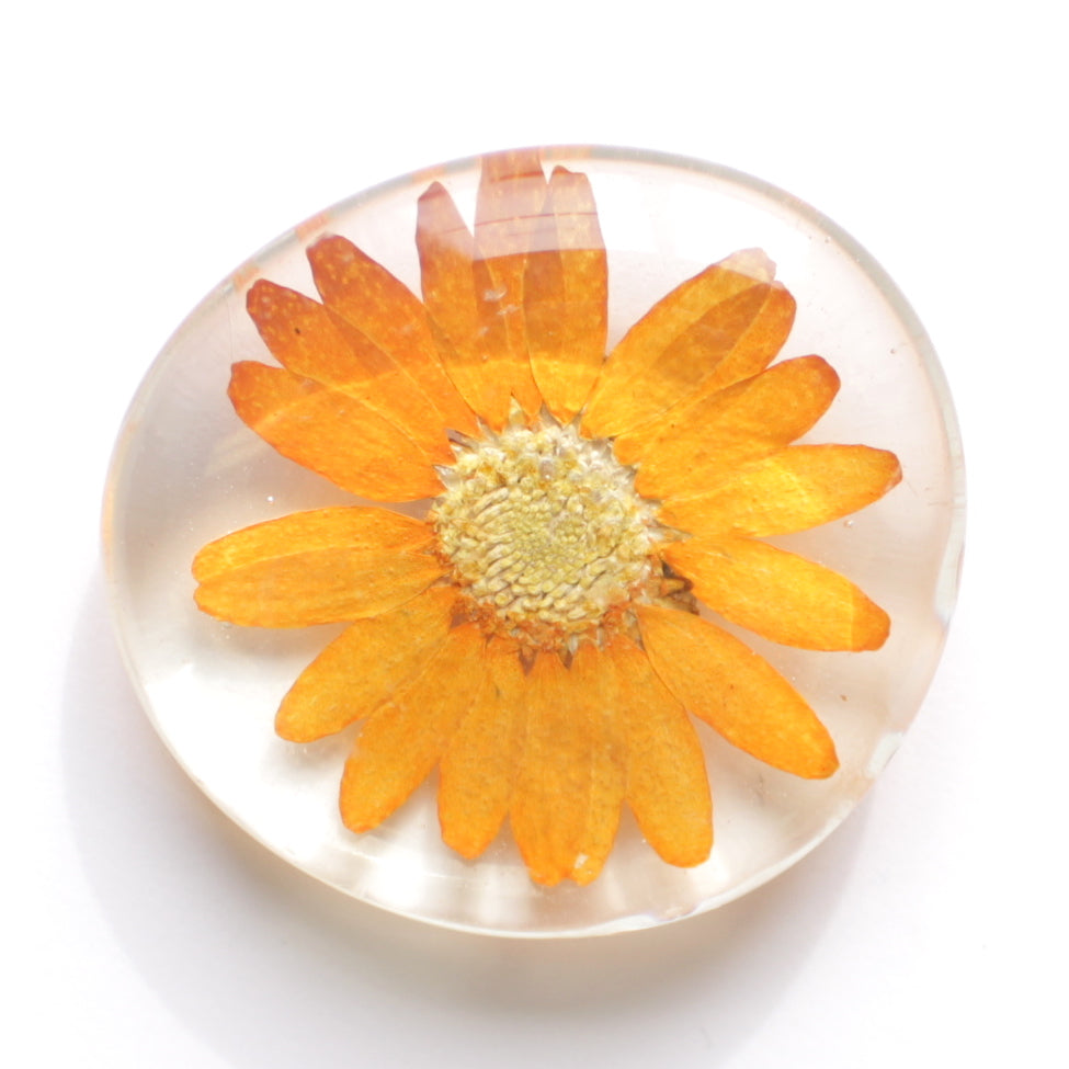 Floral Glass Magnets