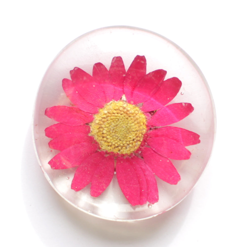 Ganz Set of 6 Glass Magnets 3 Modern Floral &3 Messages Be Kind Be