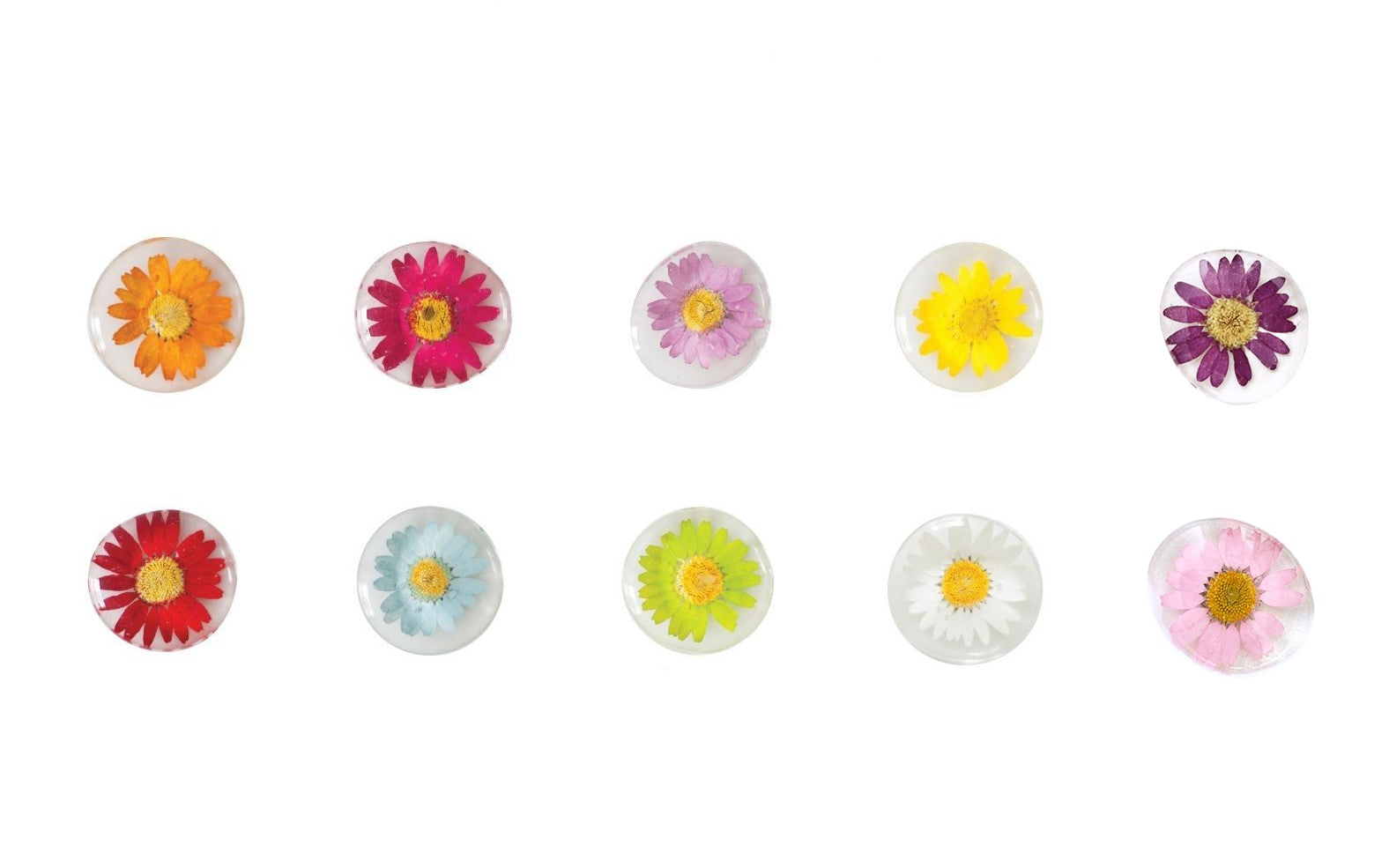 Floral Glass Magnets + Display